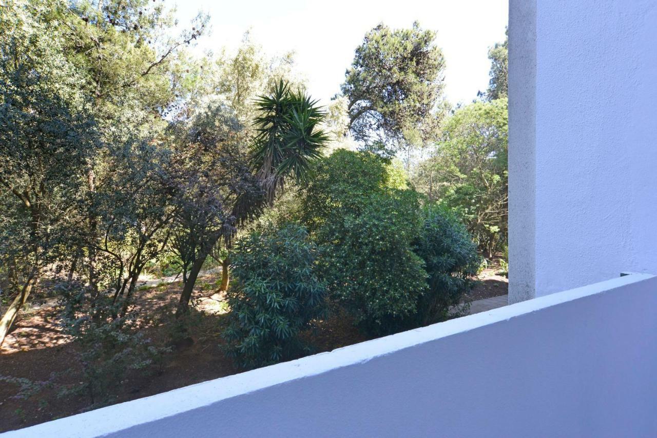 Tropical View Cascais - Checkinhome Eksteriør bilde